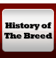 History of The Breed